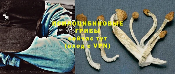 мдпв Медногорск