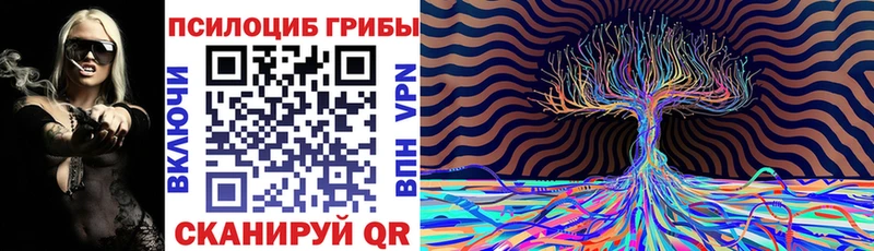 Псилоцибиновые грибы Psilocybine cubensis  Курганинск 