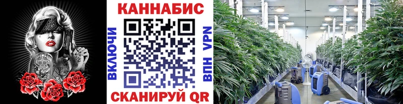 Канабис Bruce Banner  дарнет шоп  Курганинск 